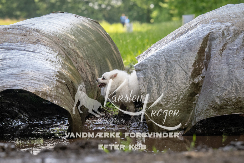 1151_ZZ94892 | kk-dogfotos