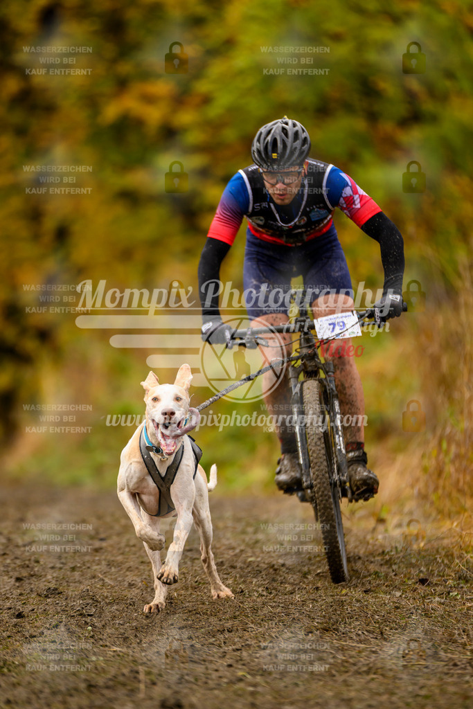 MompixPhotography_ICF_WC_2024_SA_Bike_-12 | PayLife