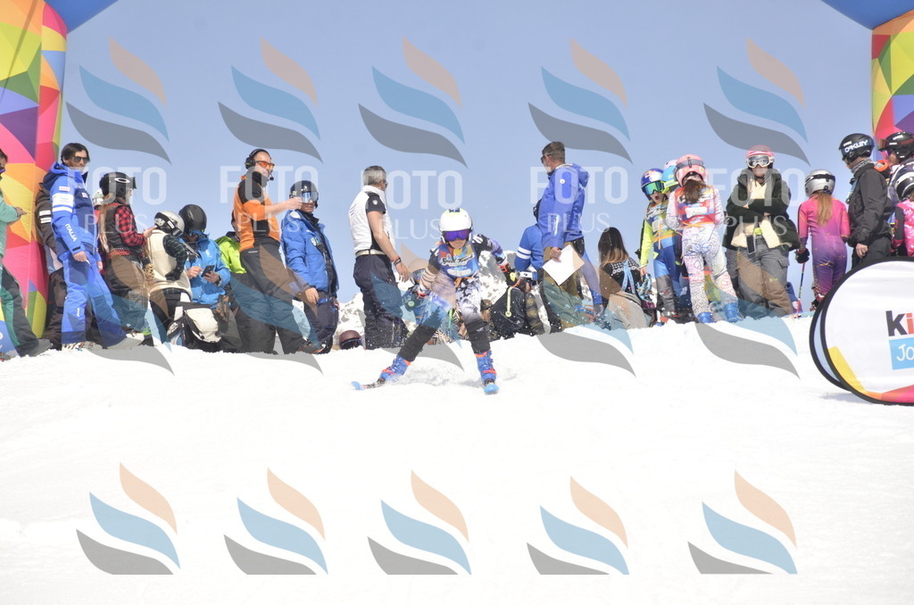 _ELE9011 | holidayphoto