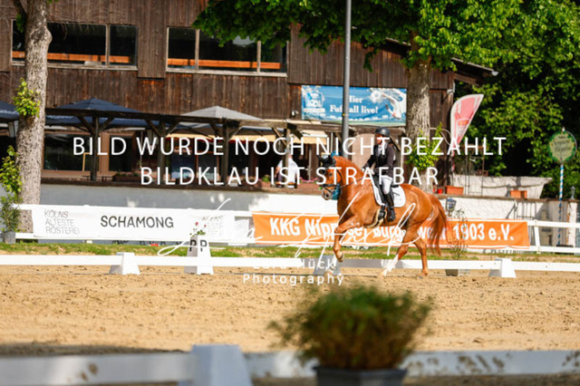 _62_2507 | larahueckfotografie