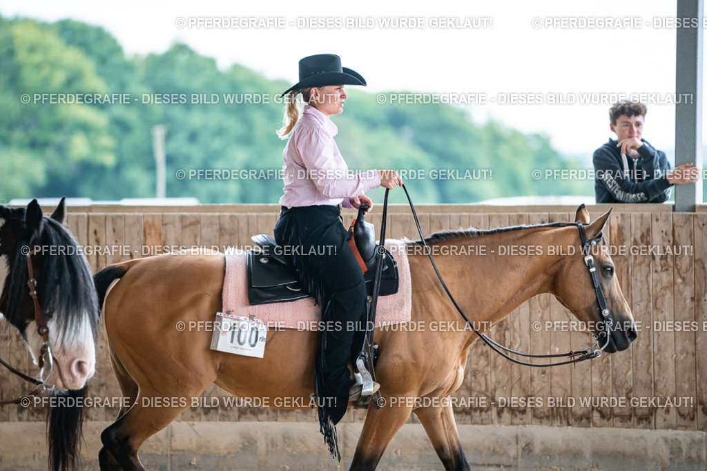 DSC09293 | Pferdegrafie