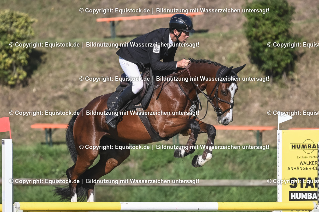 20230908_14-15_Springpferde-A_0090 | equistock