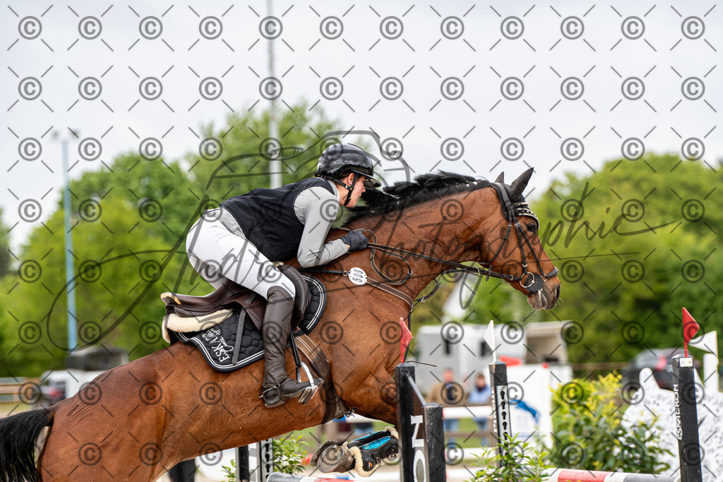 KPT_9926 | andre_photographic