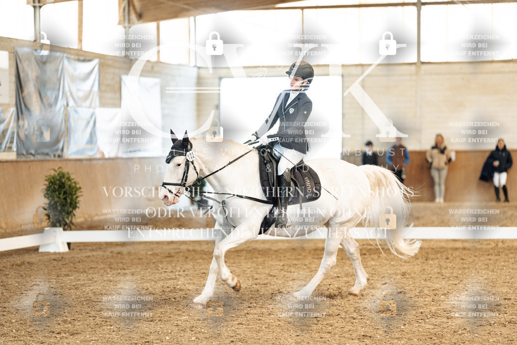 CK900097 | Turnierfotografie Pferdefotografie Trier Rheinland-Pfalz Pferdesport Reitsport Tierfotografie Sportfotografie Pferdevideo Pferdevideografie Equestrianvideography equestrianphotography  - Realized with Pictrs.com