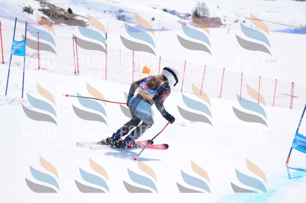 DSC_5153 | holidayphoto