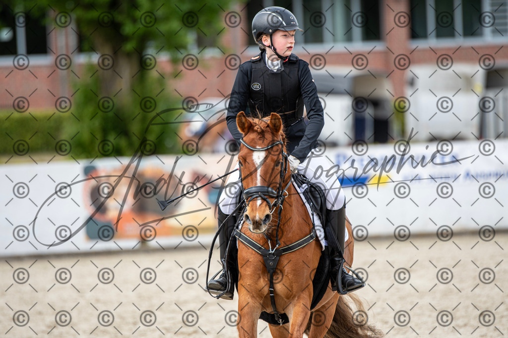 KPT_5976 | andre_photographic