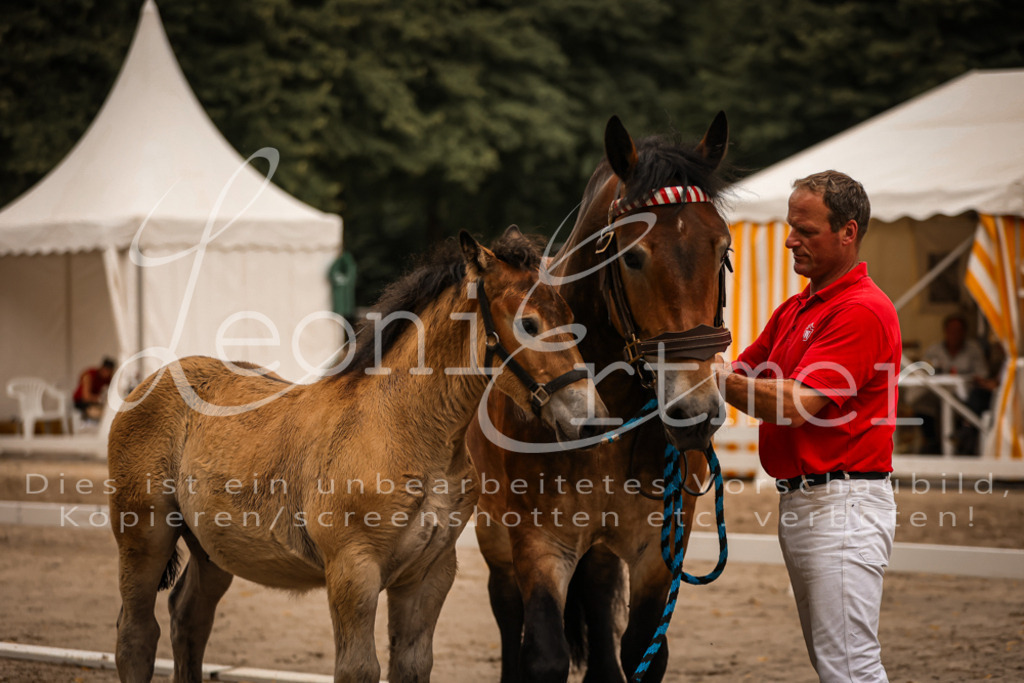 SaHF00133 | Leoni Ertmer Photography - Realisiert mit Pictrs.com