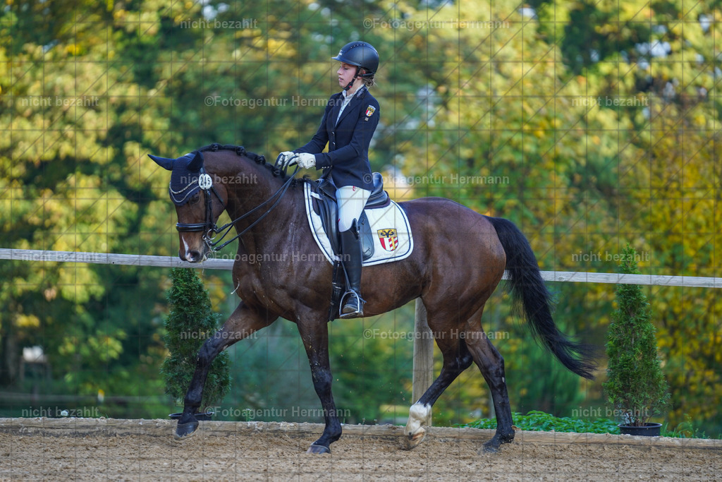 20221007-FAH00298 | Diessen am Ammersee, 2022, Dressur- und Springturnier, Reitsportbilder, Turnierfotografen Bayern, Pferdefotografen, Fotoagentur Herrmann, Turnierbilder