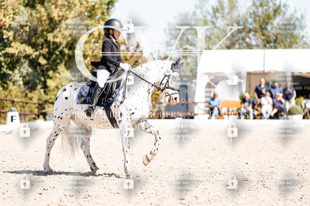 CK904159 | Turnierfotografie Pferdefotografie Trier Rheinland-Pfalz Pferdesport Reitsport Tierfotografie Sportfotografie Pferdevideo Pferdevideografie Equestrianvideography equestrianphotography  - Realisiert mit Pictrs.com