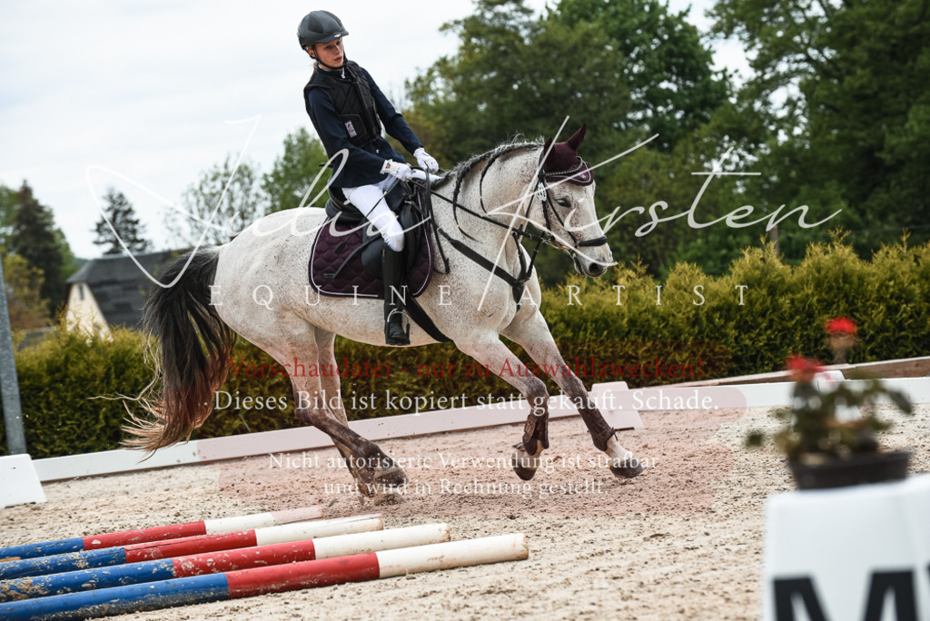 20230518_JK-Röhrsdorf-10-574 | Pferde- und Turnierfotografie in Westsachsen. Pferdeportraits, Auftragszeichnungen und intuitive Kunst.