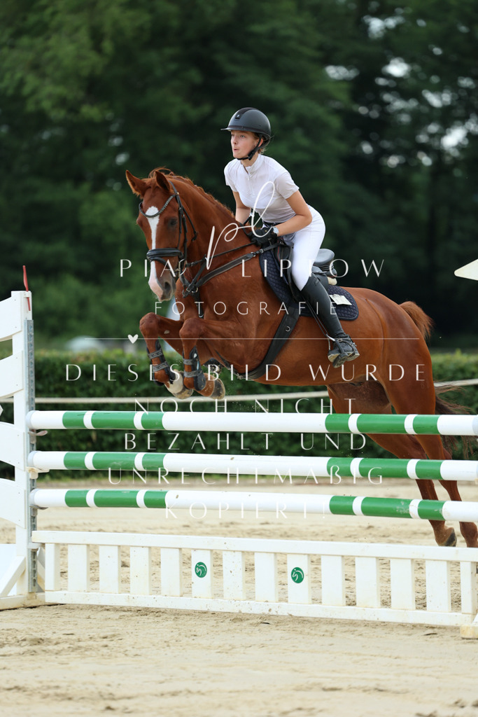 IMGM8214 | pl-fotografie