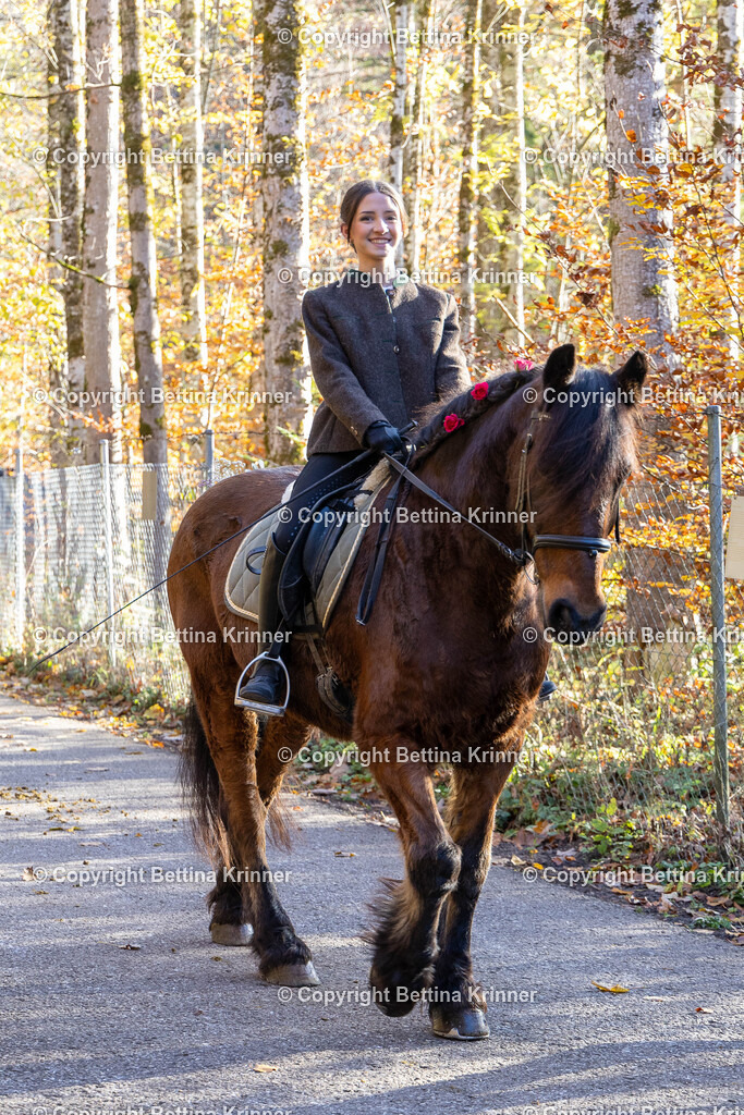 LL24-370 | foto-bettina-krinner - Realisiert mit Pictrs.com