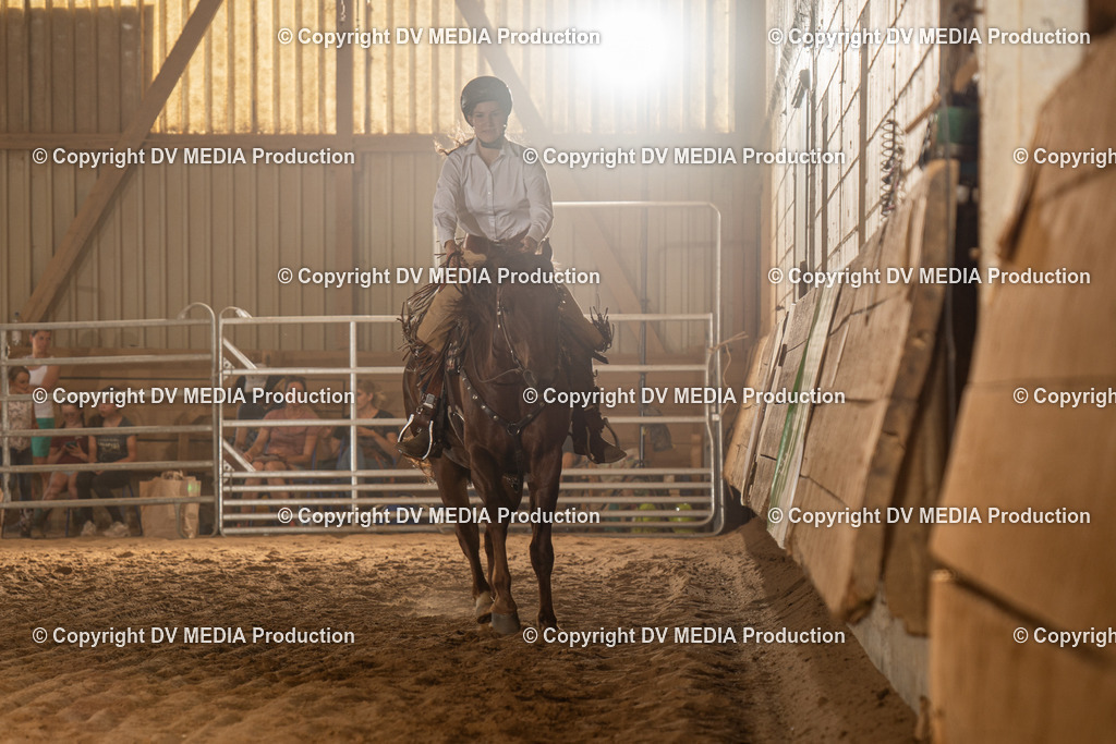 NID03666 | dv-media-shop - Realisiert mit Pictrs.com