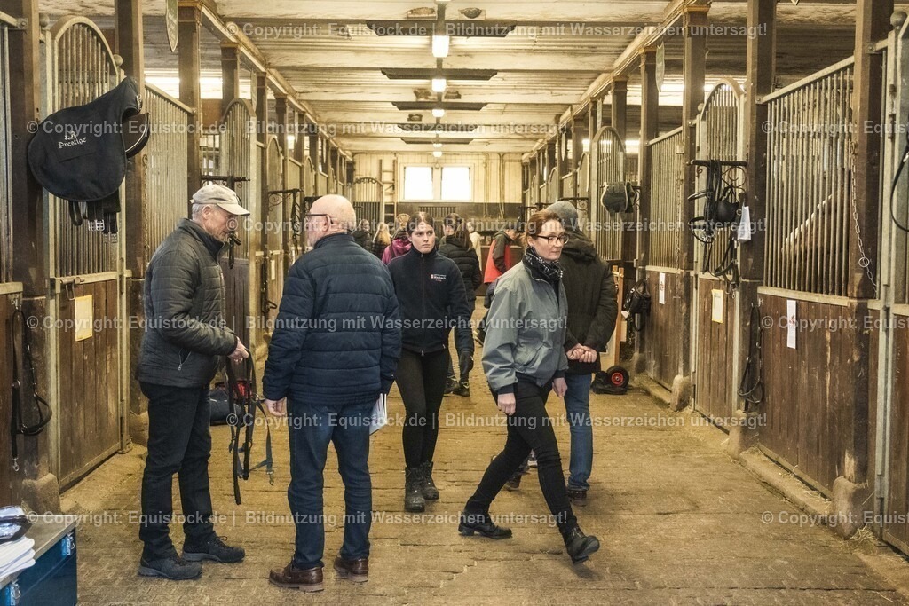 20240302_Hengstvorstellung_Marbach_TOMsPiC_0052 | equistock