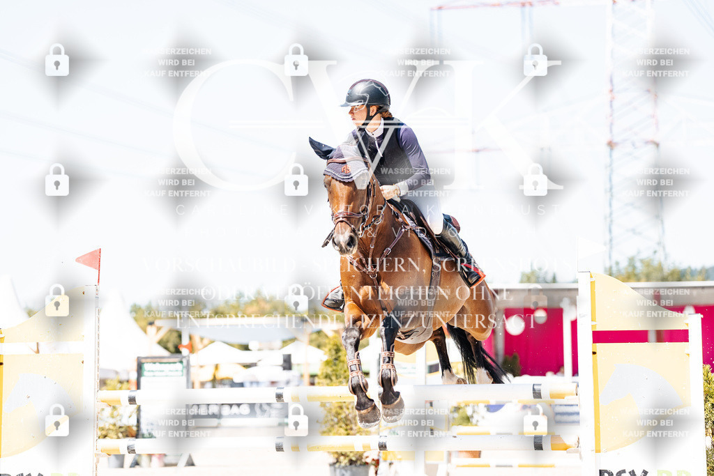 CK900108 | Turnierfotografie Pferdefotografie Trier Rheinland-Pfalz Pferdesport Reitsport Tierfotografie Sportfotografie Pferdevideo Pferdevideografie Equestrianvideography equestrianphotography  - Realisiert mit Pictrs.com