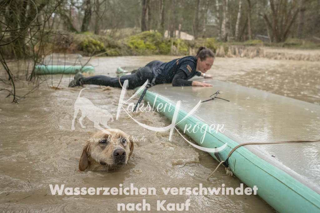 1050_ZZ93560-Bearbeitet | kk-dogfotos