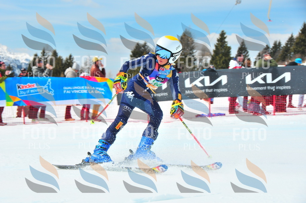 DSC_1780 | holidayphoto