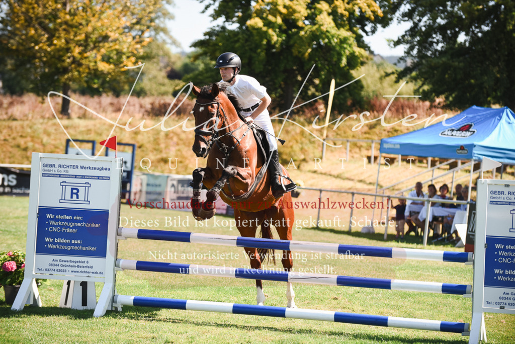 DSC_2753 | Pferde- und Turnierfotografie in Westsachsen. Pferdeportraits, Auftragszeichnungen und intuitive Kunst.