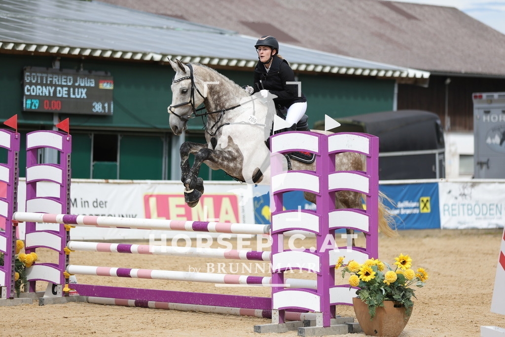 0P6A5184 | Willkommen bei Brunnmayr - Design & Fotografie – Ihrem Spezialisten für Reitturniere und Pferdeveranstaltungen in Oberösterreich, Salzburg und Bayern! Seit über 17 Jahren sind wir leidenschaftlich dabei.