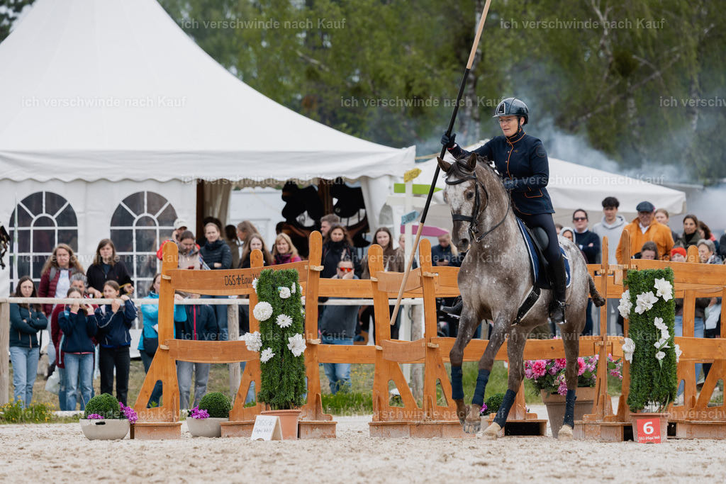 PI26_SP_StoibphotographyC2_C1815.jpg | working equitationturnier fotograf videograf stoibphotography marixx film working equitation deutschland reitsport turnierfotografie eventfotografie equestrian events