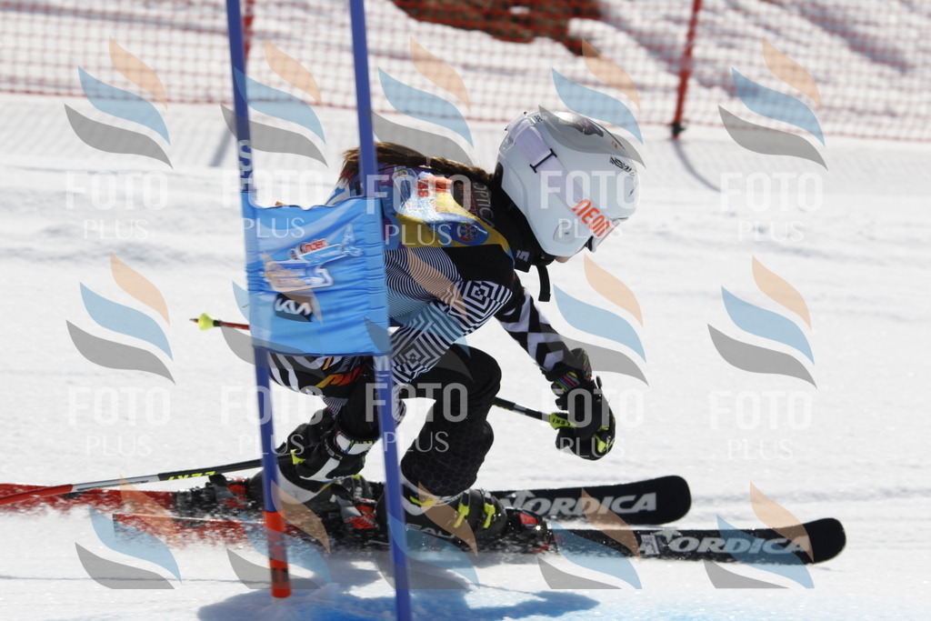 _U3G0346 | holidayphoto