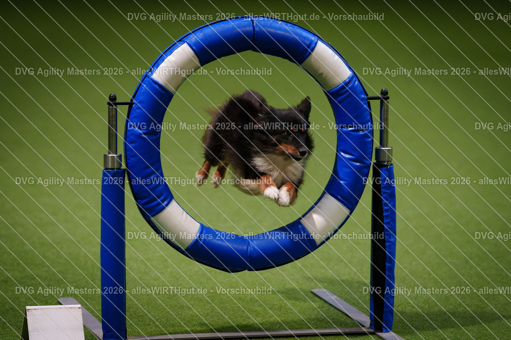 allesWIRTHgut_Tierfotografie-DVG_Agility_Masters_2026-08_07-7R507586 | Professionelle Tierfotografie in Mönchengladbach von Daniel Wirth (allesWIRTHgut). Liebevolle & natürliche Bilder von Hunden & Katzen für unvergessliche Erinnerungen.