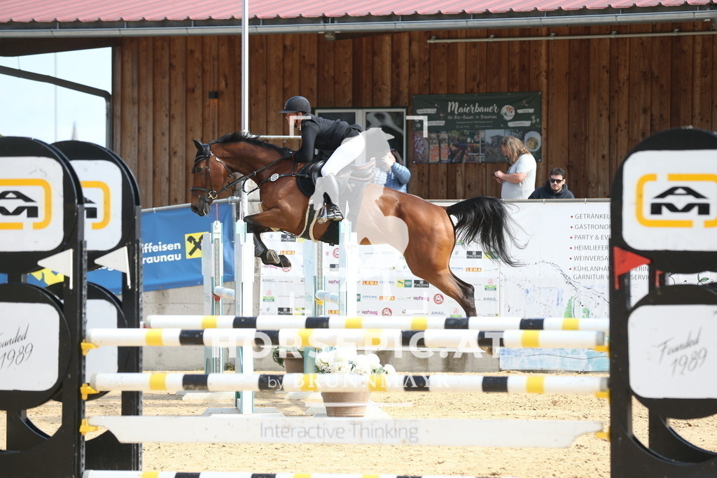 DL2Q0951 | Willkommen bei Brunnmayr - Design & Fotografie – Ihrem Spezialisten für Reitturniere und Pferdeveranstaltungen in Oberösterreich, Salzburg und Bayern! Seit über 17 Jahren sind wir leidenschaftlich dabei.