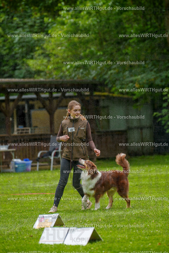 @allesWIRTHgut_Tierfotografie - www.allesWIRTHgut.de - 7R500588 | Professionelle Tierfotografie in Mönchengladbach von Daniel Wirth (allesWIRTHgut). Liebevolle & natürliche Bilder von Hunden & Katzen für unvergessliche Erinnerungen.