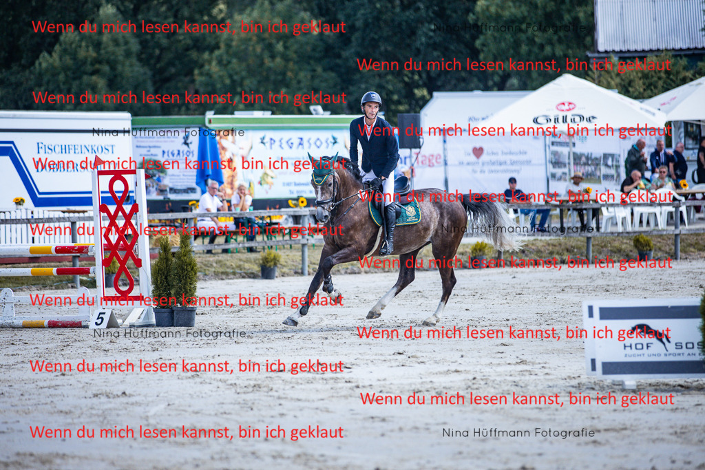 BK1A5096 | Turnierbilder Turnierfotos Nina Hüffmann Turnierfotografie Pferdefotografie Tierzeichnung Haustierzeichnung Pferdezeichnung Hundezeichnung Videograf  - Realisiert mit Pictrs.com