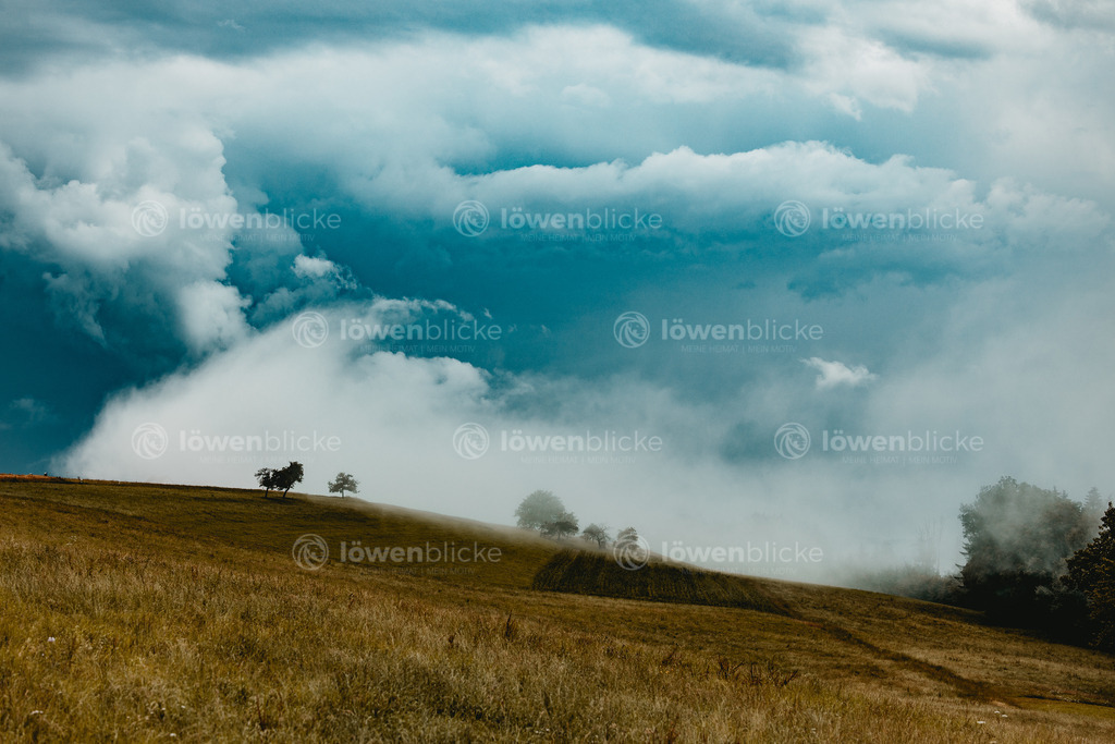 Nebelfelder bei Unterkirneck | löwenblicke | shop