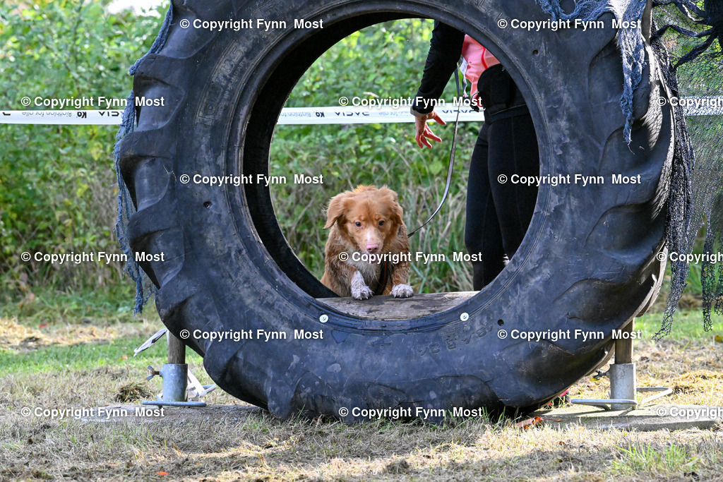 DSC_2083 | Hallo und herzlich Willkommen auf meiner Shop-Seite Fynn Most.

Ich wünsche Dir viel Spaß beim stöbern durch die Bilder, wenn Du Fragen hast oder Bilder vermisst, kannst du mir gerne eine Nachricht schreiben. - Realisiert mit Pictrs.com