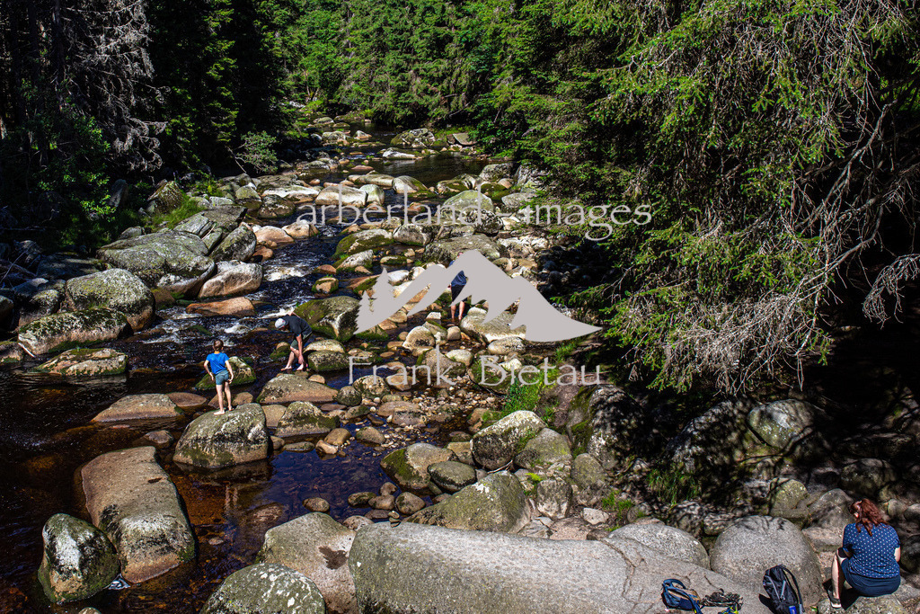 OE7A5671 | ein Wanderung durch das Tal der Vydra im Böhmerwald