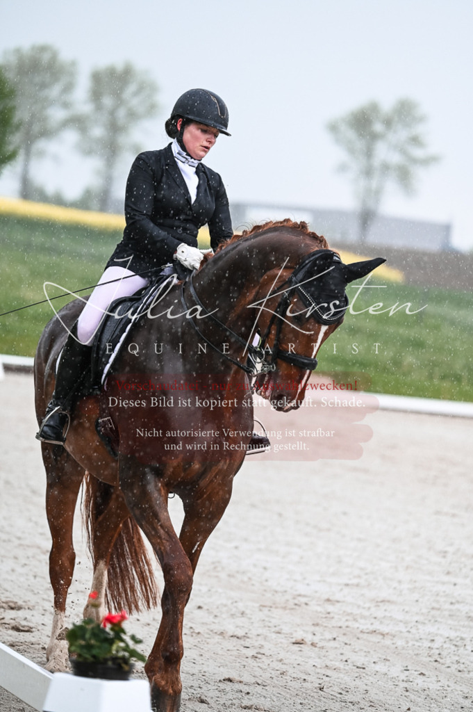 DSC_4108 | Pferde- und Turnierfotografie in Westsachsen. Pferdeportraits, Auftragszeichnungen und intuitive Kunst.