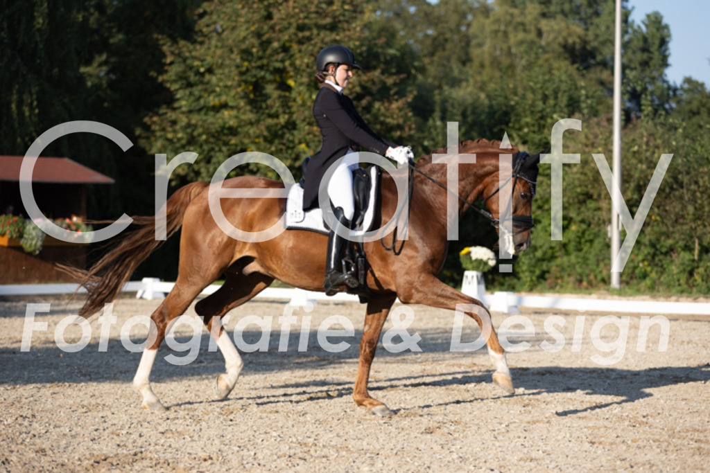 IMG_1352 | Creatify Fotografie