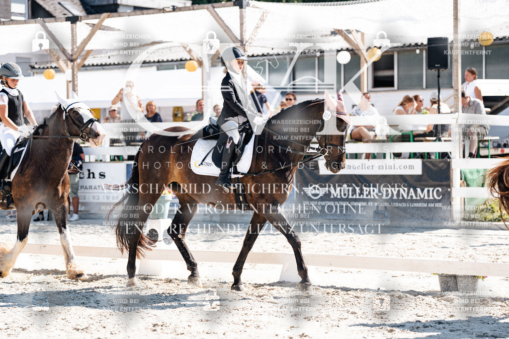 CK902970 | Turnierfotografie Pferdefotografie Trier Rheinland-Pfalz Pferdesport Reitsport Tierfotografie Sportfotografie Pferdevideo Pferdevideografie Equestrianvideography equestrianphotography  - Realisiert mit Pictrs.com