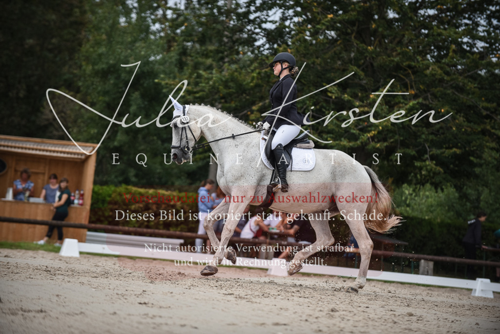 DSC_8491 | Pferde- und Turnierfotografie in Westsachsen. Pferdeportraits, Auftragszeichnungen und intuitive Kunst.