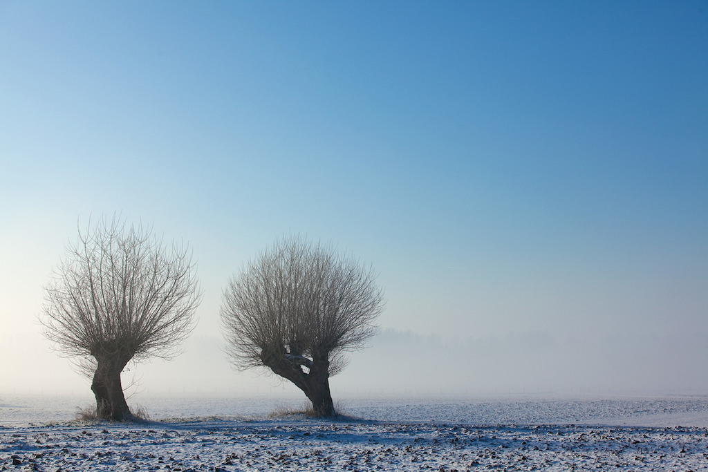 121208-215 | Europa, DEU, Deutschland, Nordrhein Westfalen, NRW, Rheinland, Niederrhein, Xanten, Naturschutzgebiet Xantener Altrhein, Bislicher Insel, Typische Landschaft, Baeume, Kopfweiden, Winter, Schnee, Nebel, Dunst, Kategorien und Themen, Natur, Umwelt, Landschaft, Jahreszeiten, Stimmungen, Landschaftsfotografie, Landschaften, Landschaftsphoto, Landschaftsphotographie, Naturschutz, Naturschutzgebiete, Landschaftsschutz, Biotop, Biotope, Landschaftsschutzgebiete, Landschaftsschutzgebiet, Oekologie, Oekologisch, Typisch, Landschaftstypisch, Landschaftspflege....[Fuer die Nutzung gelten die jeweils gueltigen Allgemeinen Liefer-und Geschaeftsbedingungen. Nutzung nur gegen Verwendungsmeldung und Nachweis. Download der AGB unter http://www.image-box.com oder werden auf Anfrage zugesendet. Freigabe ist vorher erforderlich. Jede Nutzung des Fotos ist honorarpflichtig gemaess derzeit gueltiger MFM Liste - Kontakt, Uwe Schmid-Fotografie, Duisburg, Tel. (+49).2065.677997, fotofinder@image-box.com, www.image-box.com] - Realisiert mit Pictrs.com