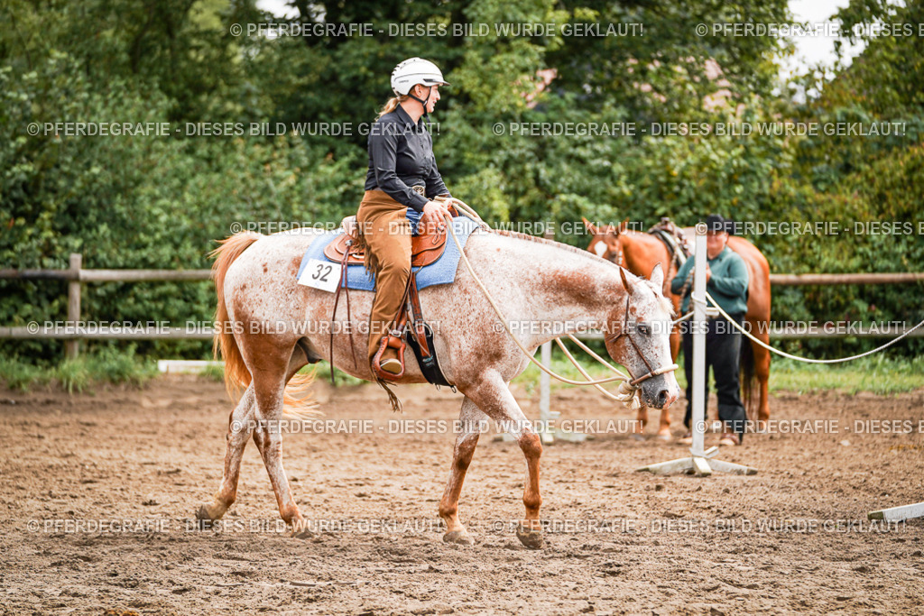 DSC04170 | Pferdegrafie