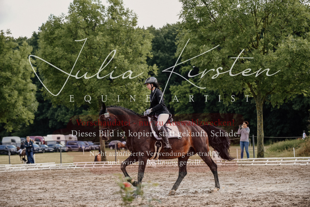 DSC_8642 | Pferde- und Turnierfotografie in Westsachsen. Pferdeportraits, Auftragszeichnungen und intuitive Kunst.