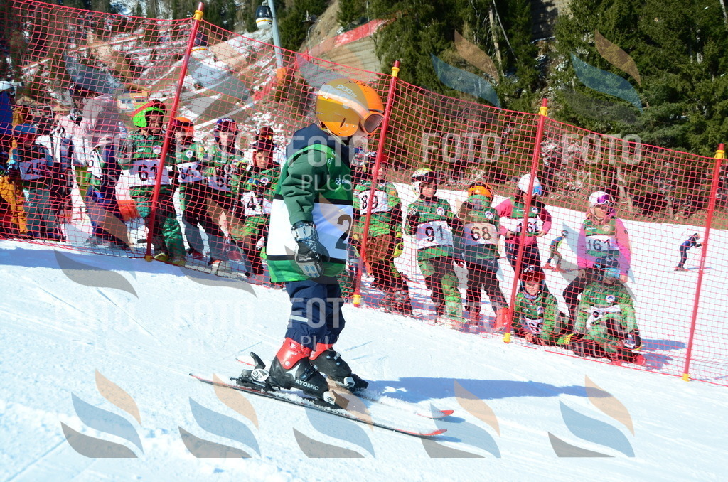 C4865 | holidayphoto