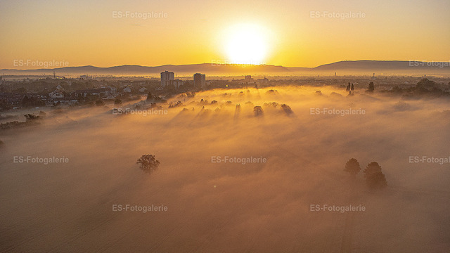 Bodennebel bei Sonnenaufgang