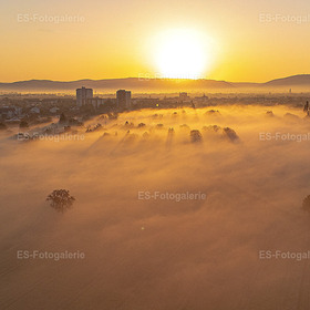 Bodennebel bei Sonnenaufgang