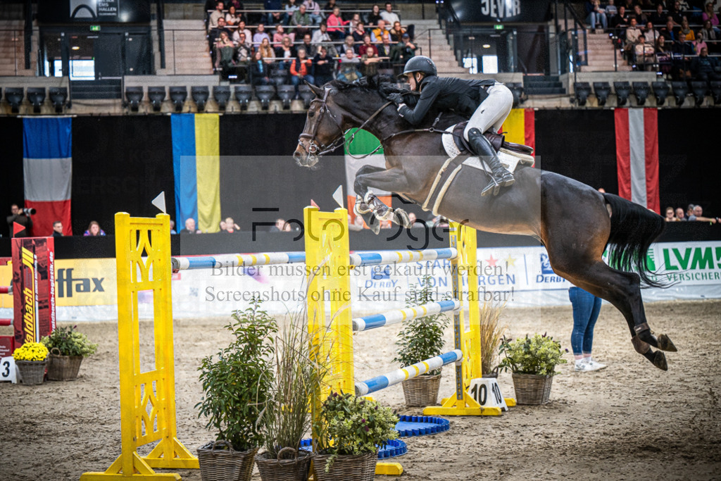 DOS_1129 | Entdecke hochwertige Reitturnierfotos von Foto Oger. Professionell, emotional und authentisch – jetzt Lieblingsmomente im Shop bestellen.Deutschlandweite Turnierfotografie. - Realisiert mit Pictrs.com