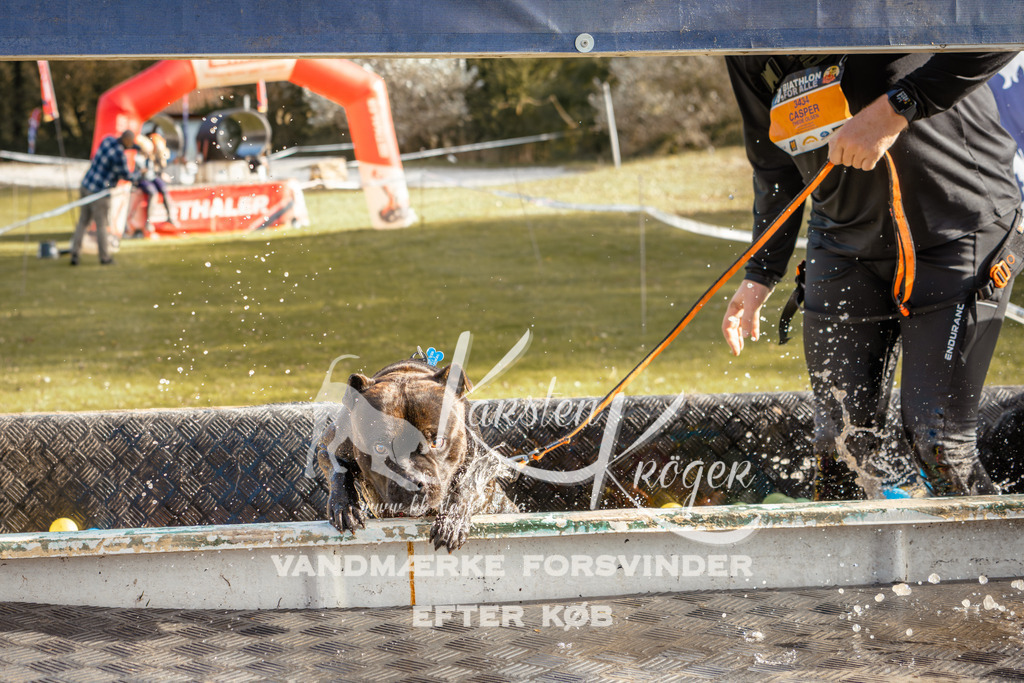 1501_ZZ95700-2 | kk-dogfotos