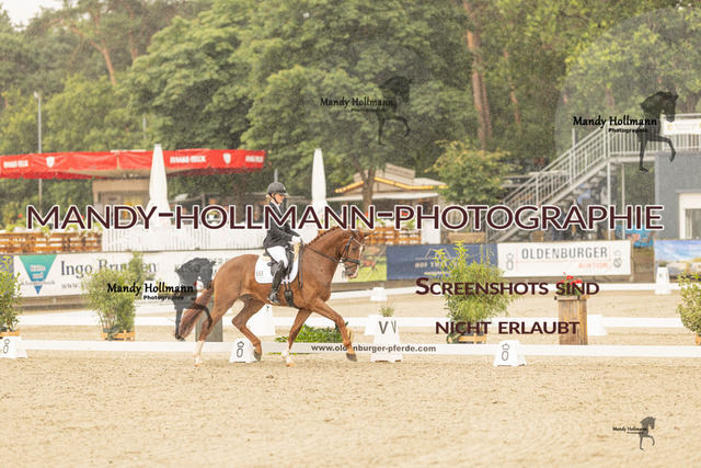SW 4-660 | mandyhollmannphotographie