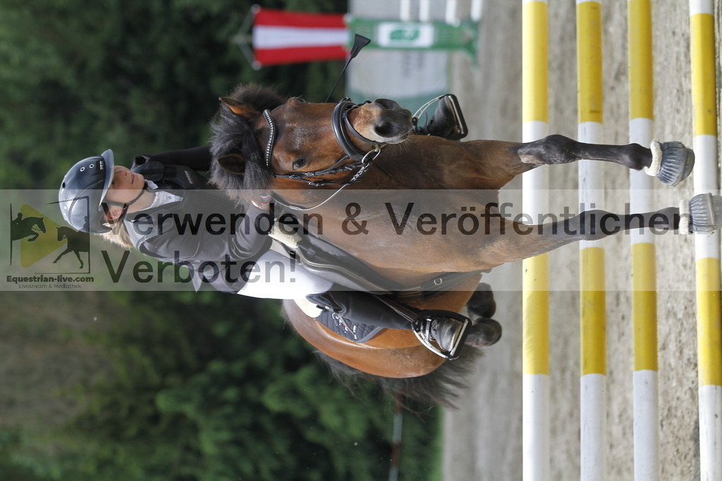 _MG_5251 | equestrian-live-com