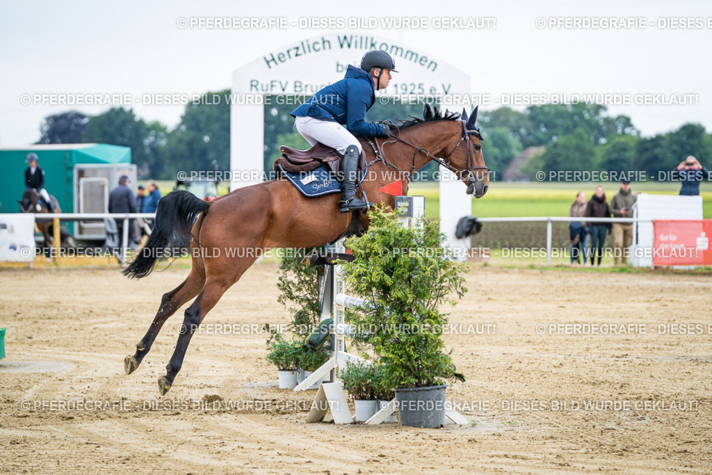 DSC04678 | Pferdegrafie