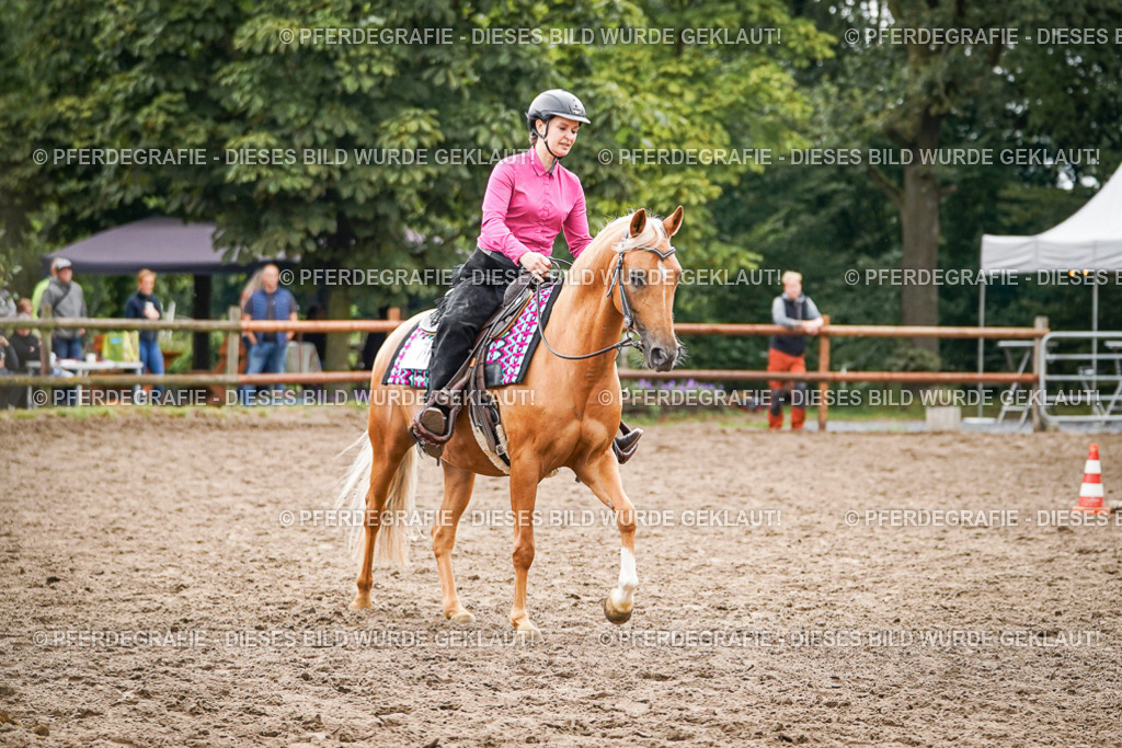 DSC03816 | Pferdegrafie