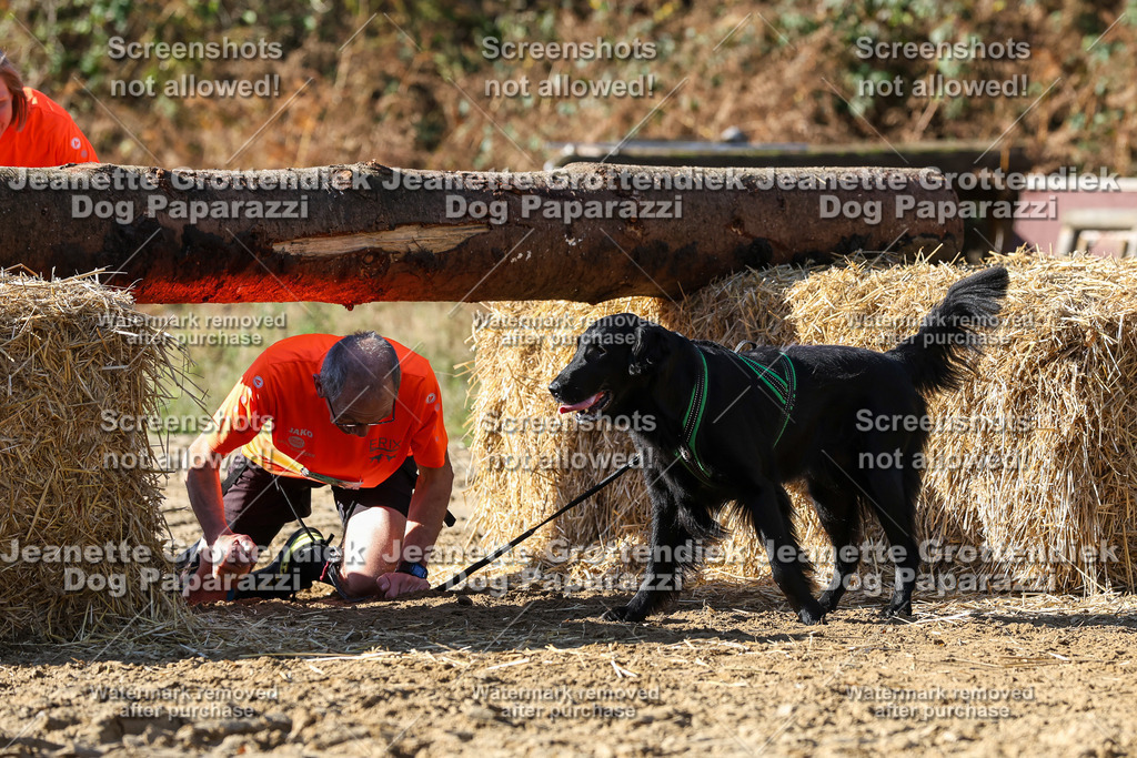 Dog Paparazzi - Strongdog 10-25-4672 | Dog Paparazzi Jeanette Grottendiek Fotografie & Videografie - Realisiert mit Pictrs.com