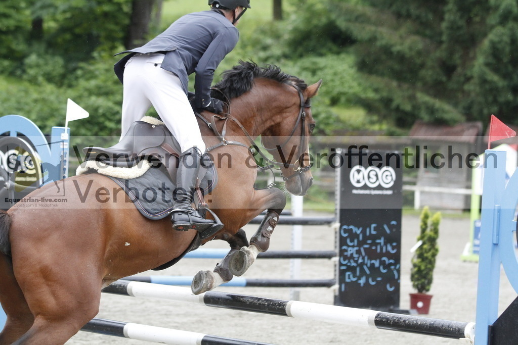 _MG_7184 | equestrian-live-com
